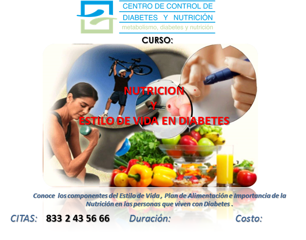 Idea2-Curso-2017-Nutricion-en-DM